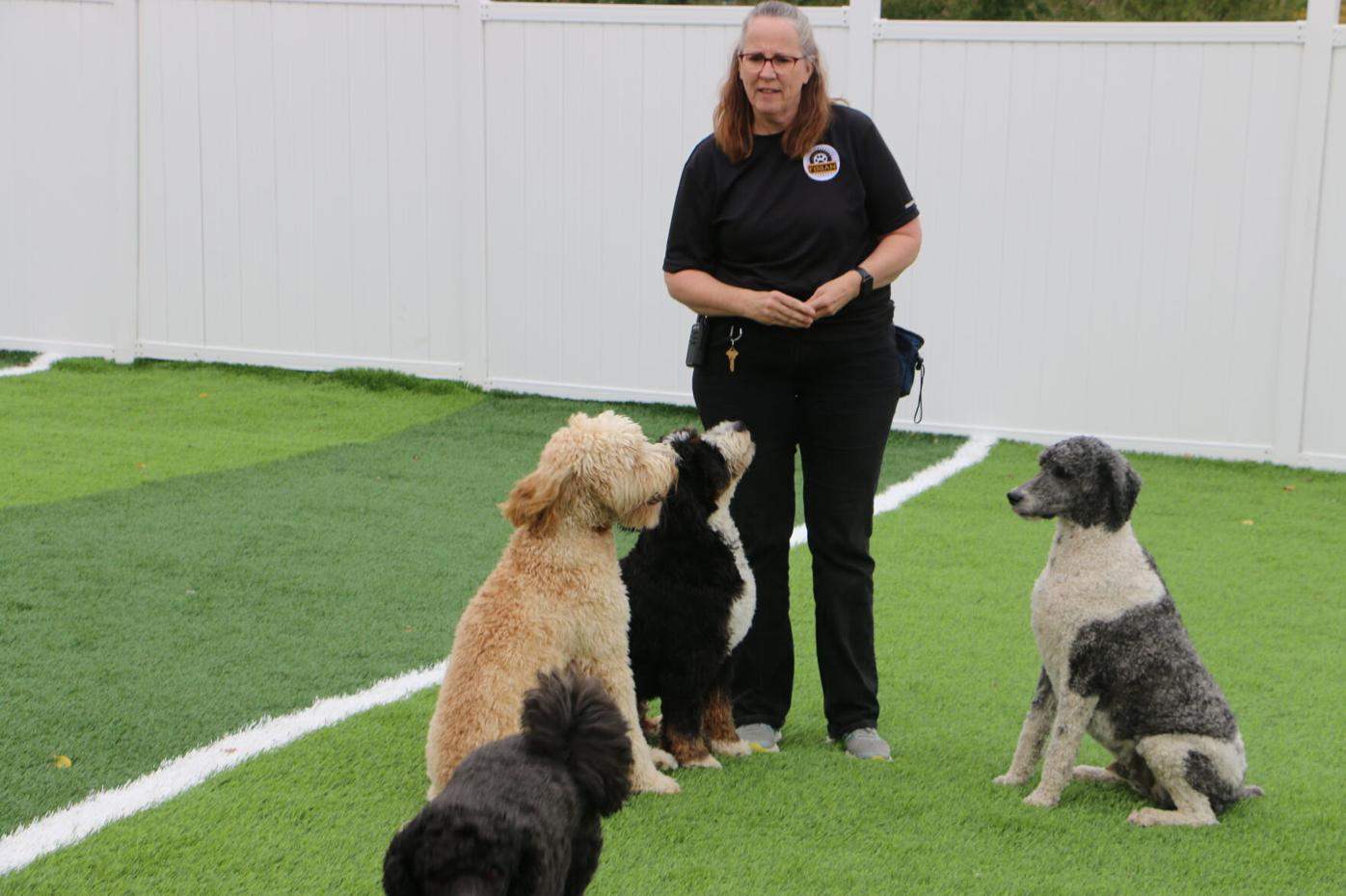 fissan training kennels opens at farmington mall apple valley hometownsource com