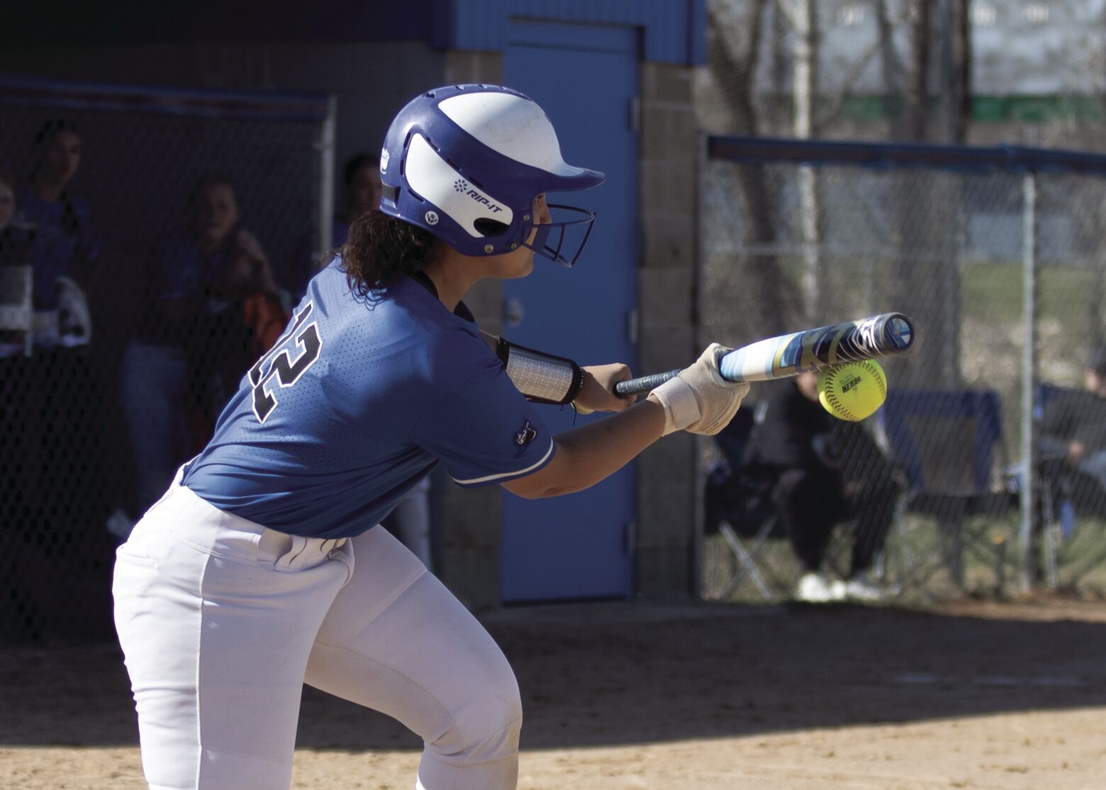 Royals softball remains undefeated with 11-4 win over Buffalo