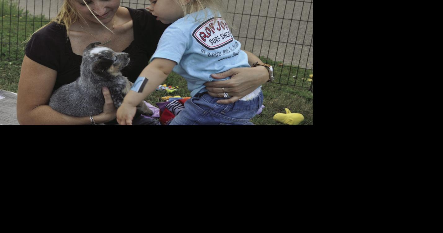 Photos The dog days of September in Edina Edina