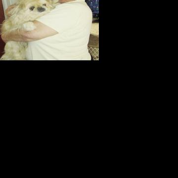Nancy Monnier is April’s Employee of the Month | Local News ...