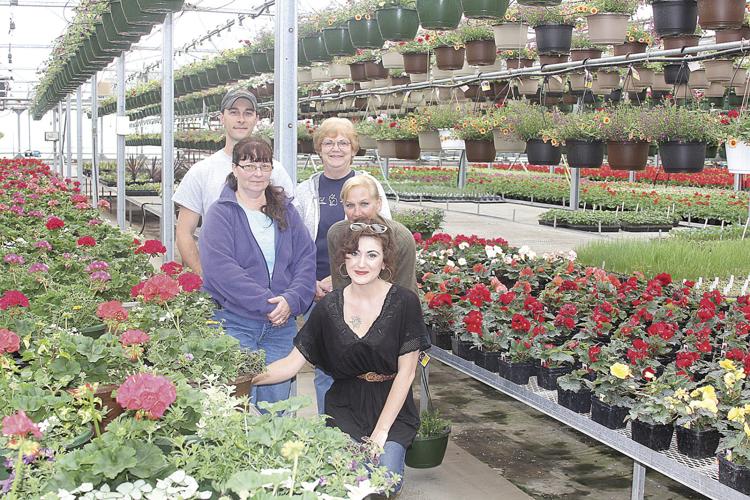 Longhorn Valley Greenhouse goes retail And they have something special