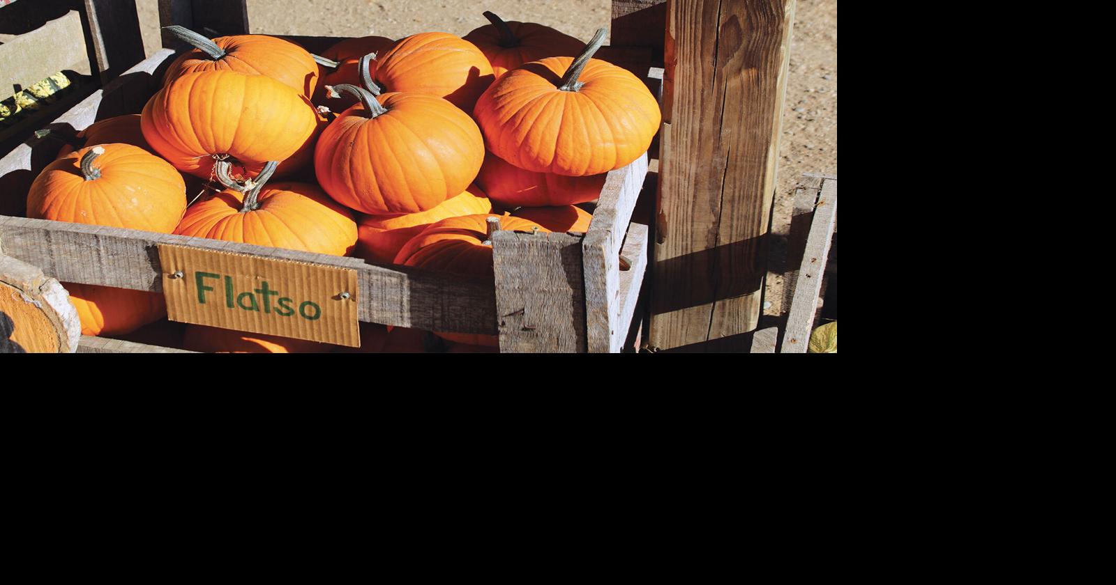 How Triple S Pumpkins prepares for the next season | | hometownsource.com