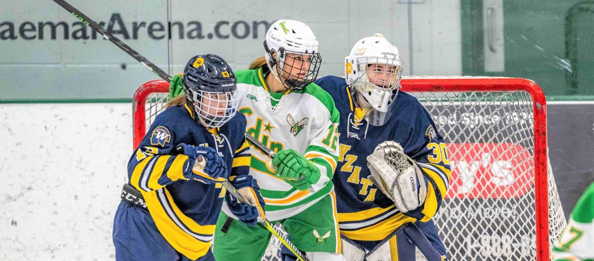 Edina hockey girls shut out Wayzata 90 Sports