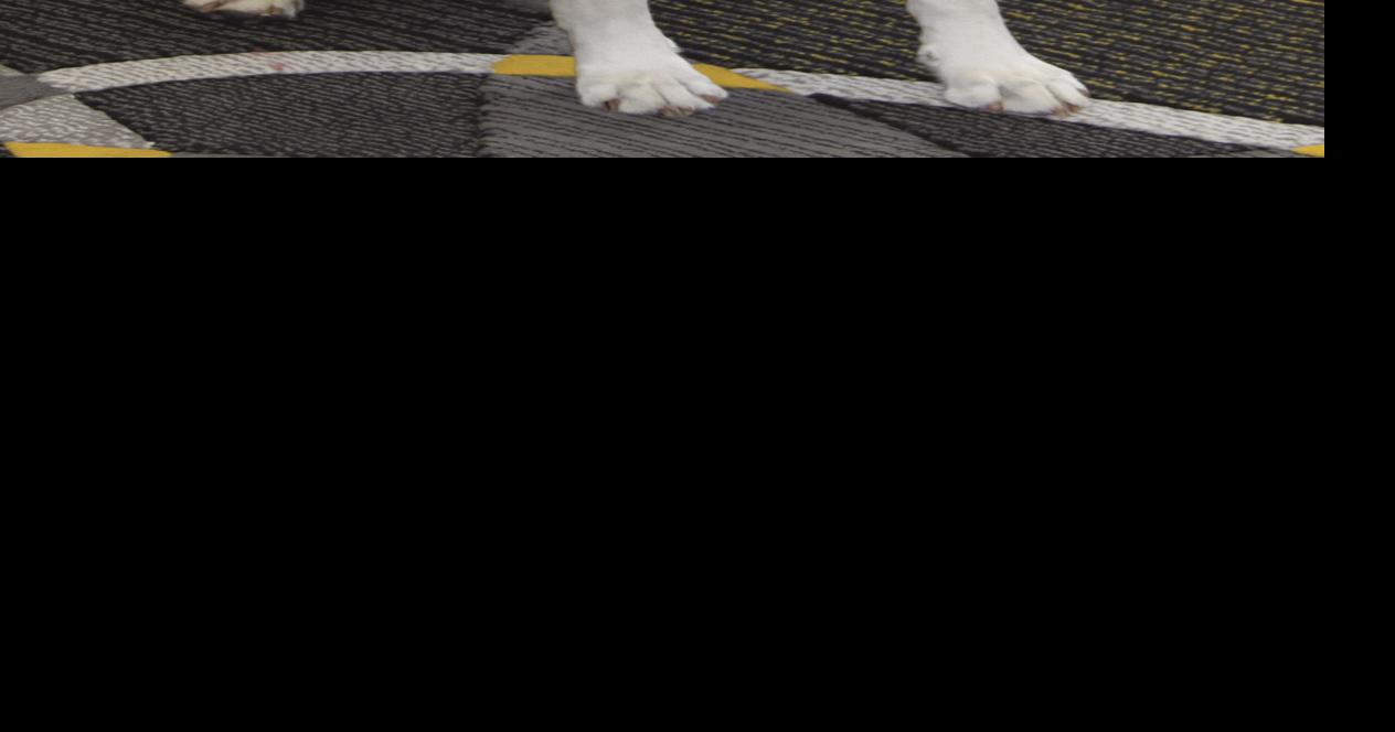 Willow’s Year at Caledonia Elementary School Caledonia