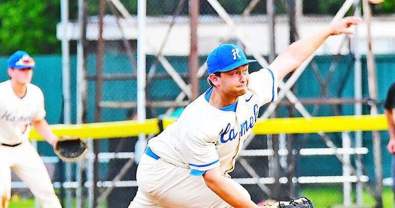 Hamel Hawks put on hitting display, beat Larks