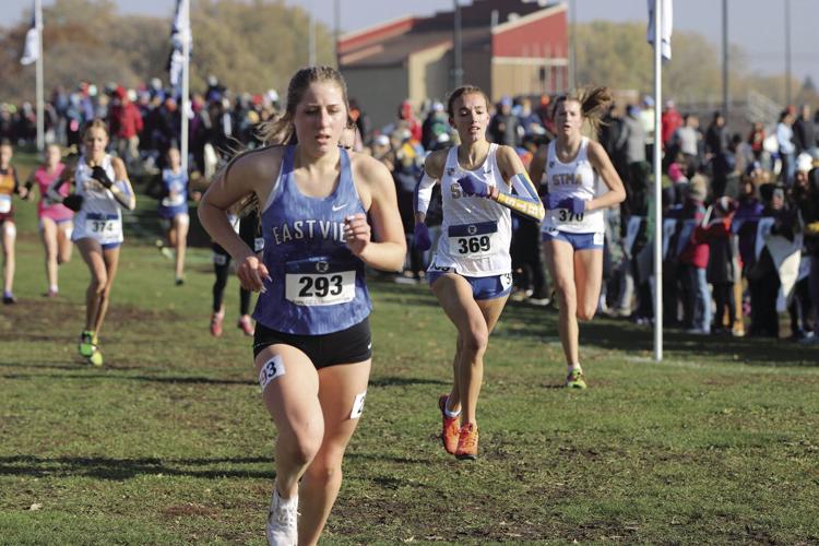 STMA cross country caps season at MSHSL State Meet Sports