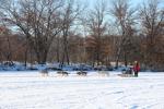 I.C.E Fest back to provide winter fun for all