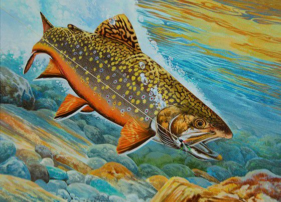 Designs being accepted for Minnesota trout and salmon stamp