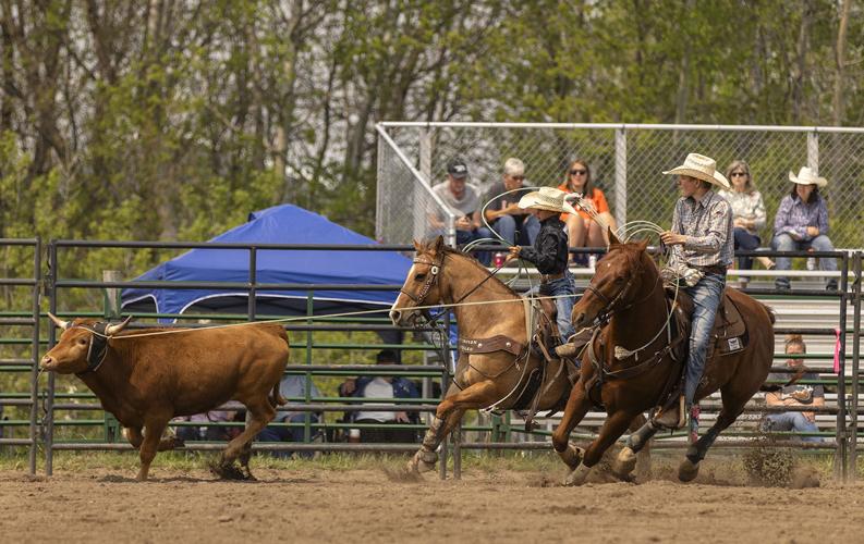 Royalton teen named Minnesota champion in five rodeo events Local