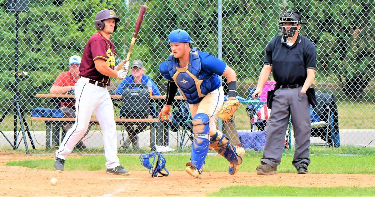 Hamel Hawks earn return trip to state | Sports | hometownsource.com
