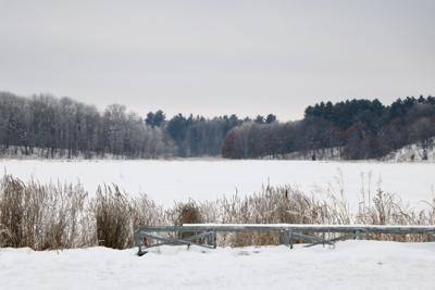 Ann Lake