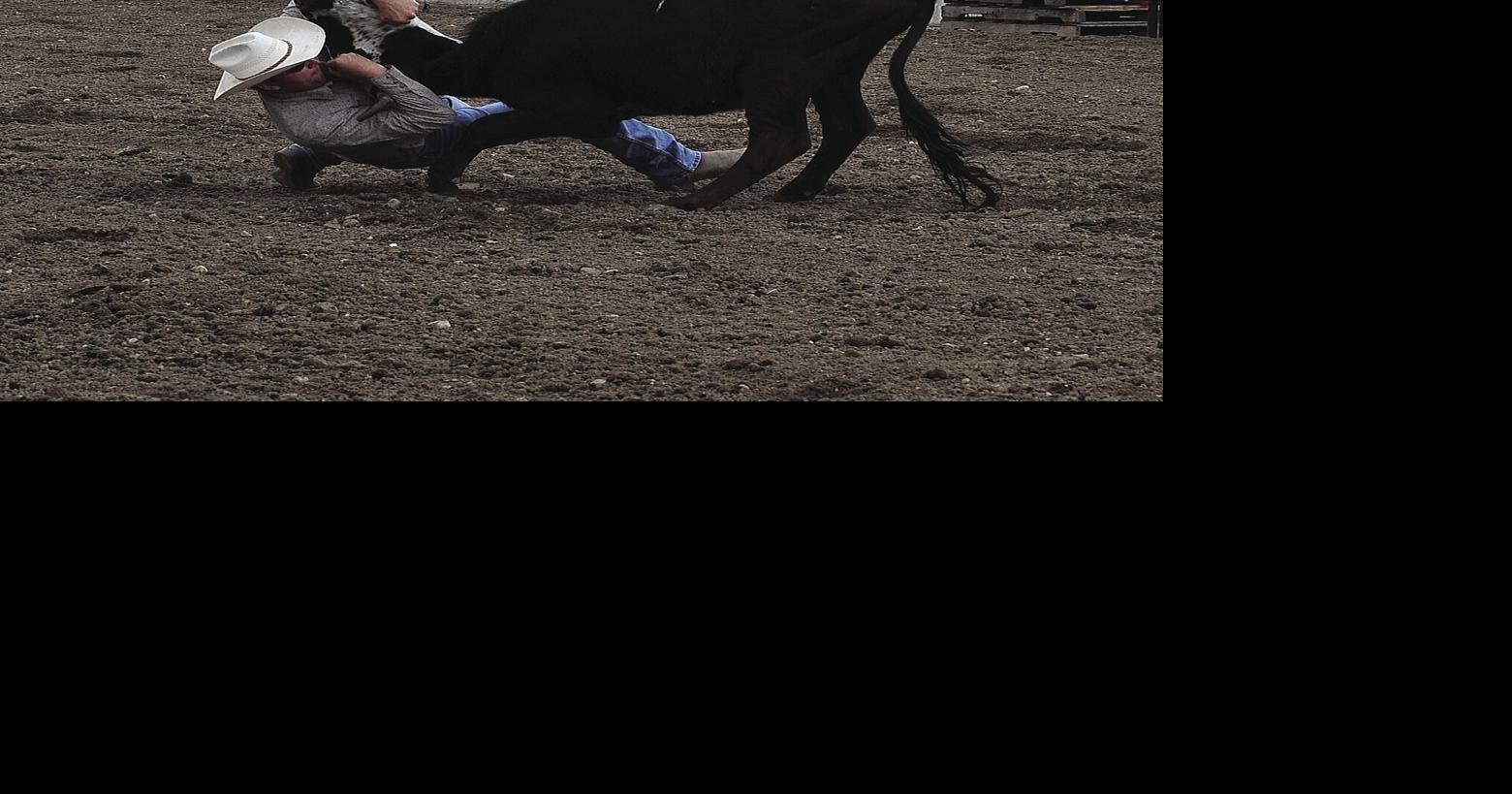 Hamel Rodeo attracts crowd to Corcoran Lions Park | Free ...