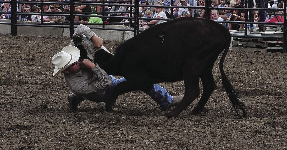 Hamwl Rodeo Hamel Rodeo attracts crowd to Corcoran Lions Park | Free ...