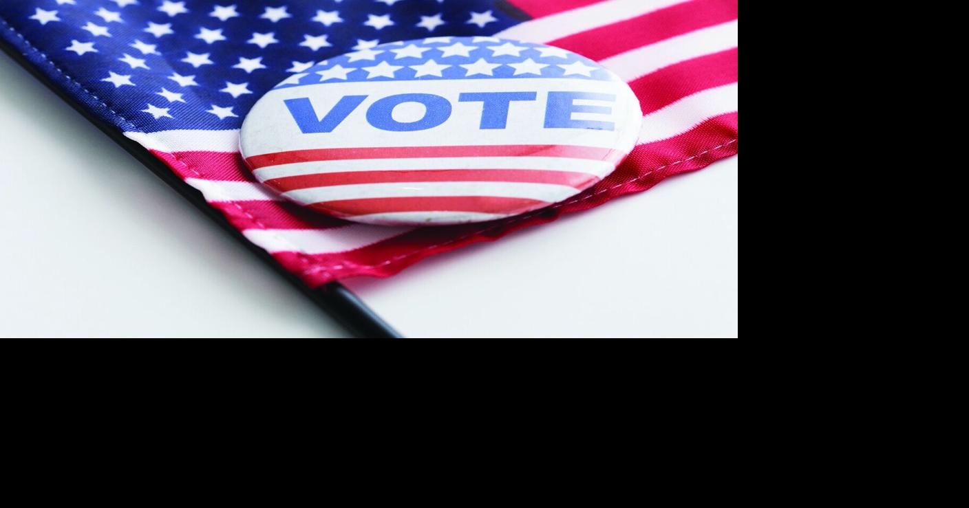 Here are the races that will be on Edina voters' ballots this November