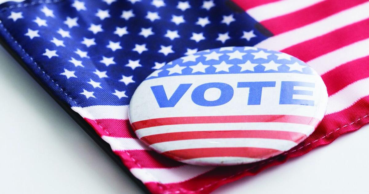 Here are the races that will be on Edina voters' ballots this November
