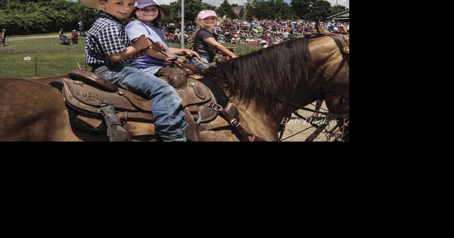For the kids: Hamel Rodeo to partner with MN Lions Childhood Cancer ...