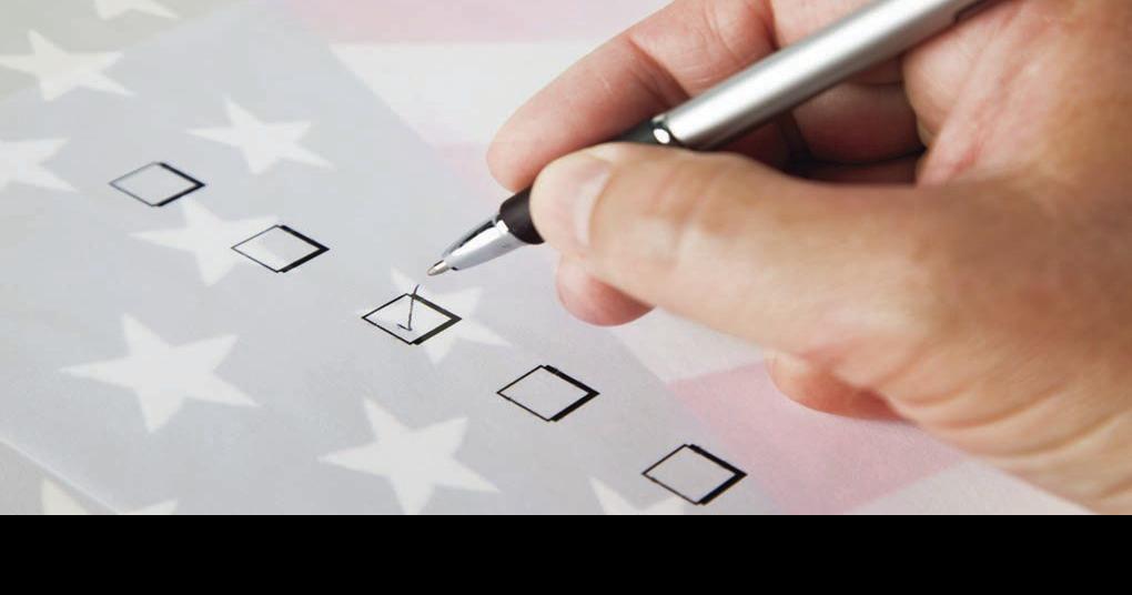 Maple Grove, Champlin, Osseo, Dayton races for election fill