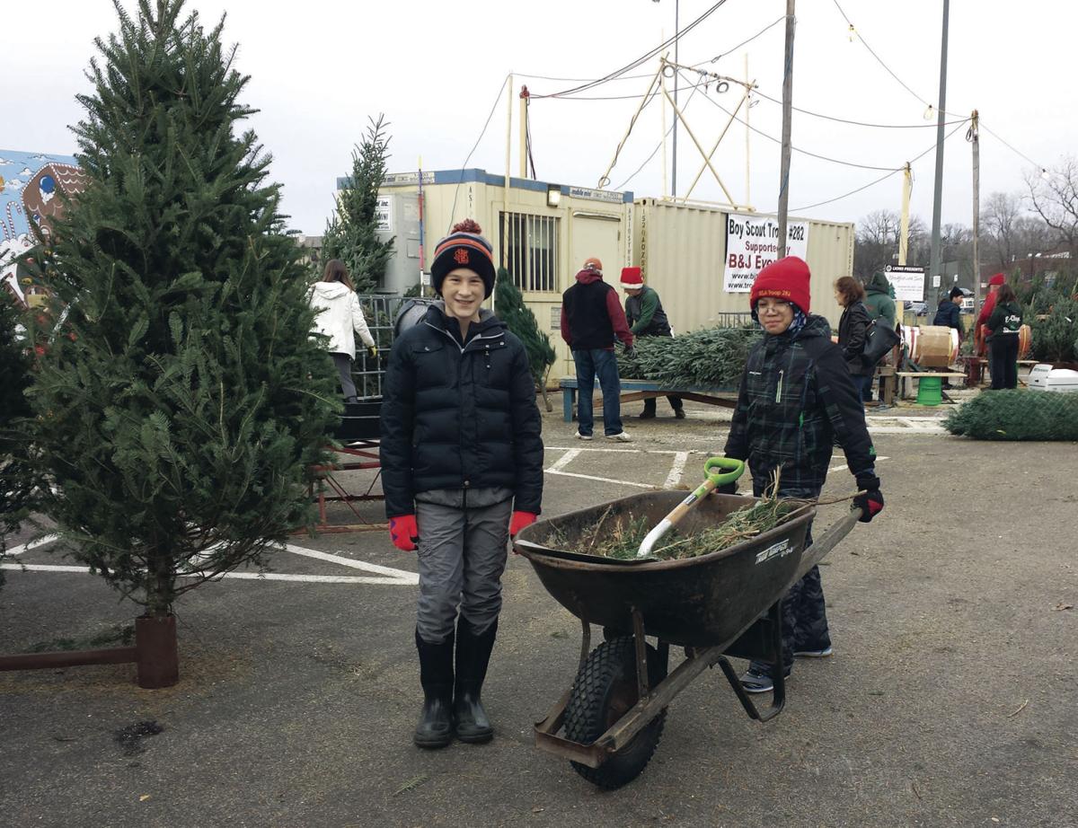 boy scouts christmas tree lot returns under a new arrangement in st louis park - Boy Scout Christmas Trees boy scouts christmas tree lot returns under a new arrangement in st louis park - Boy Scout Christmas Trees