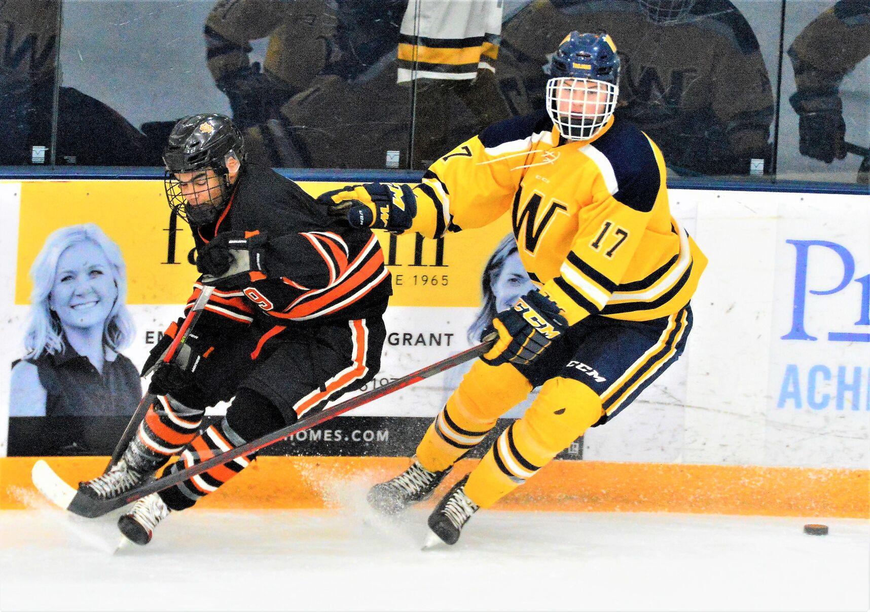 Calendrier Rink Hockey 2023 2024 Boys Hockey: Section Tournaments Well Underway | Bloomington |  Hometownsource.com