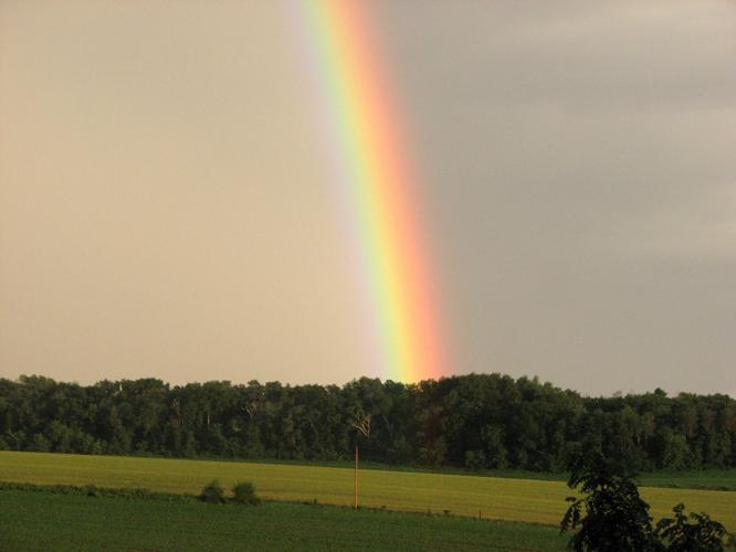 Eitzen Lions Family Fun Fest endures weather challenges Local News