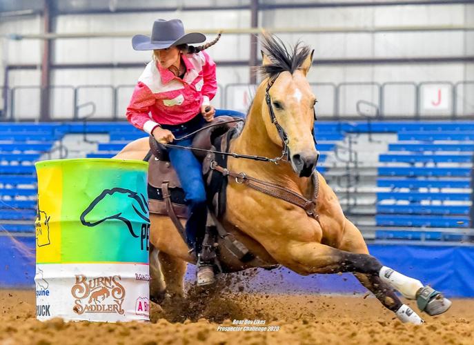 From Novice to Pro | Press And News | hometownsource.com