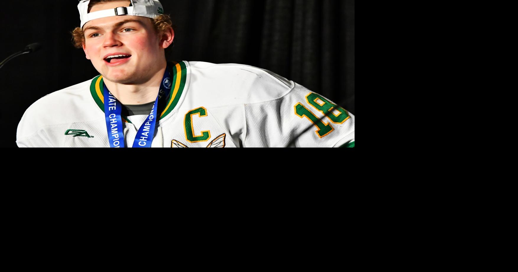 Lake players dominate All-State boys hockey selections | Sports ...