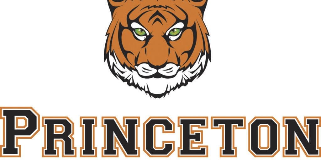 princeton university logo image