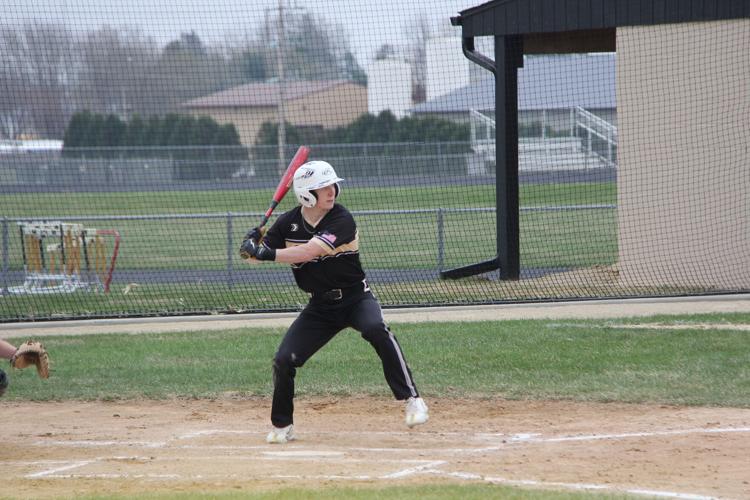 Caledonia baseball secures home wins Sports