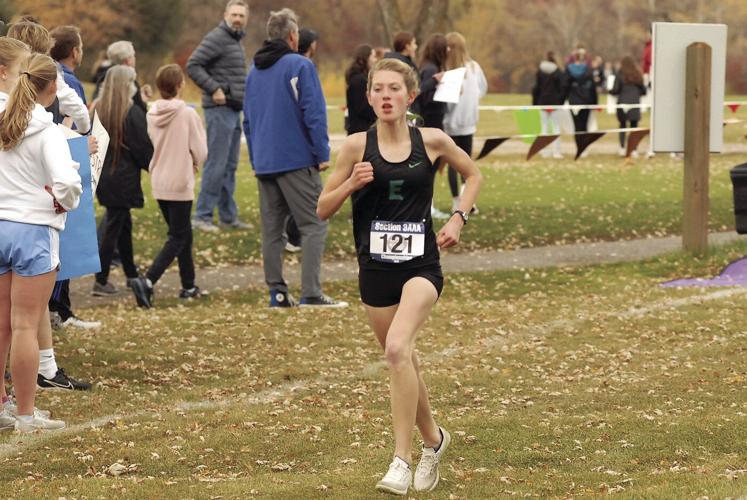Rosemount pack breezes to Section 3 boys cross country title Sports