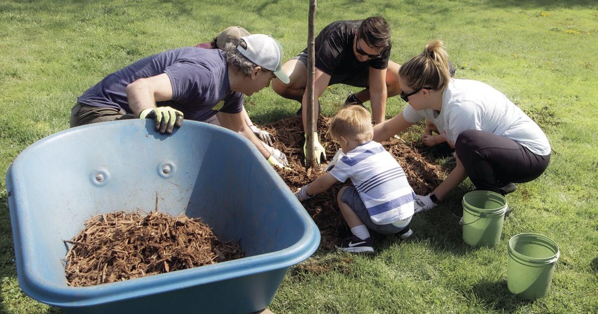 Early Learning Collaborative Tree City to embark on collaborative tree-planting program this spring ...