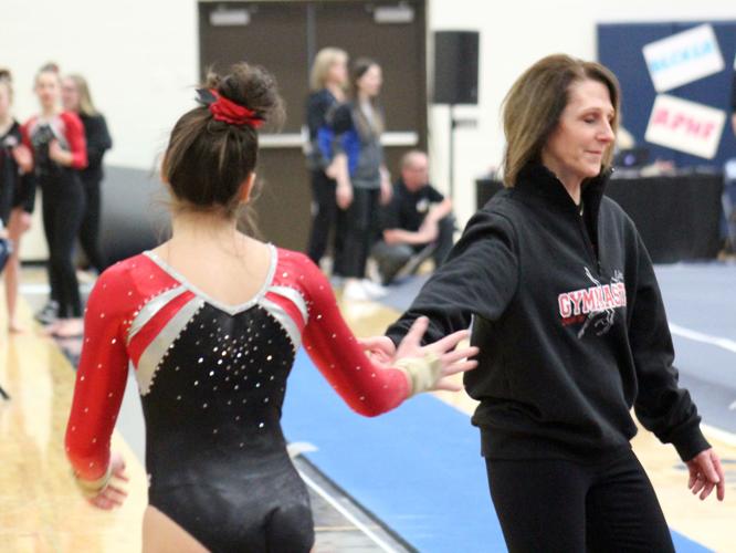 Wrestling, gymnastics teams have section meets Free