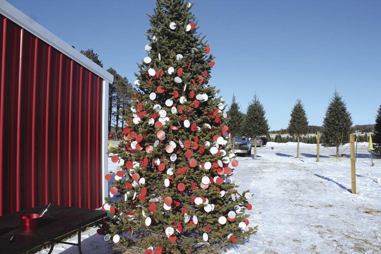 Christmas shops and Santa visits bring the Christmas spirit Free