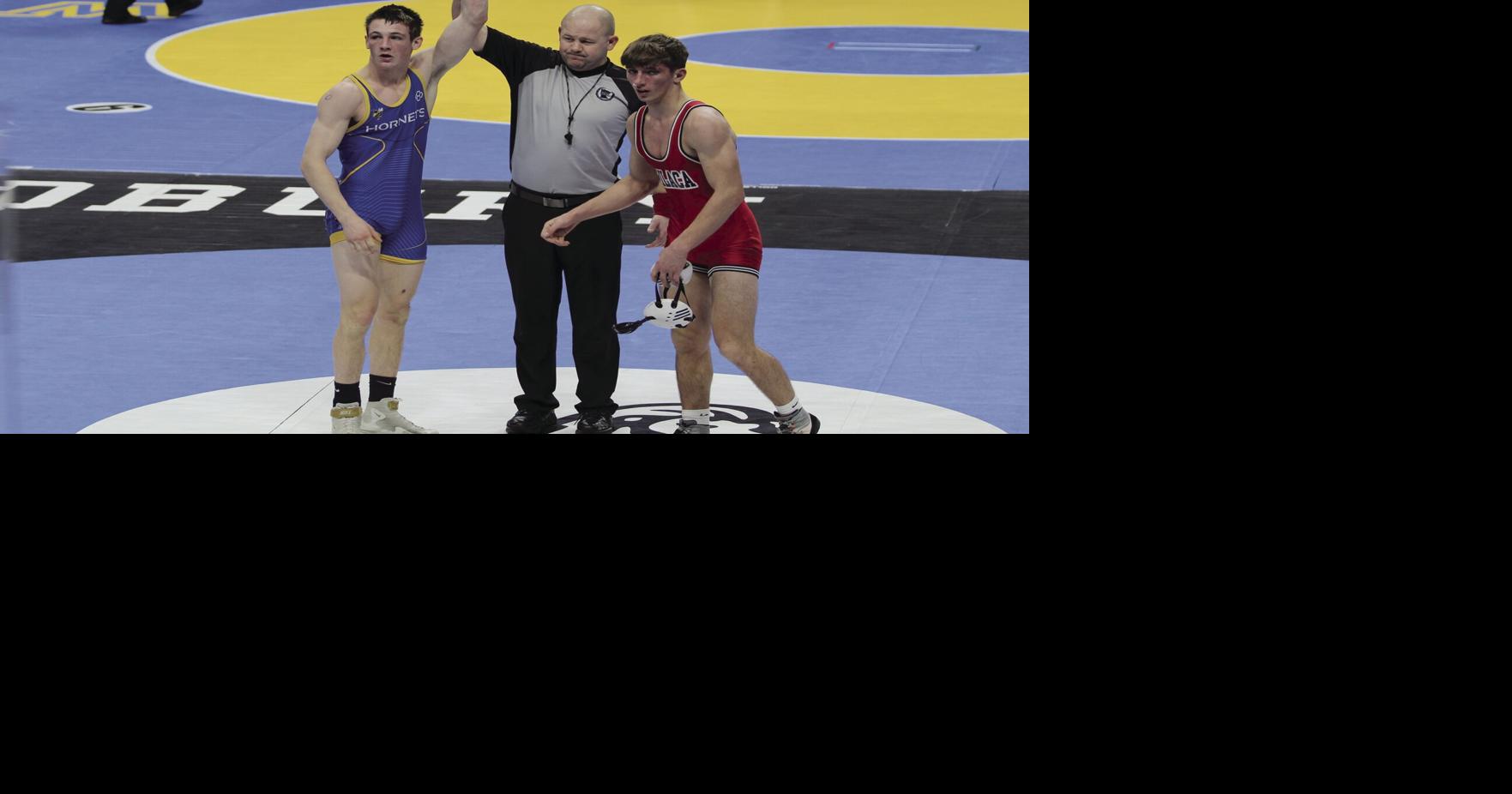 Reiter takes 3rd at 145 lbs. at MSHSL state wrestling meet | Sports ...
