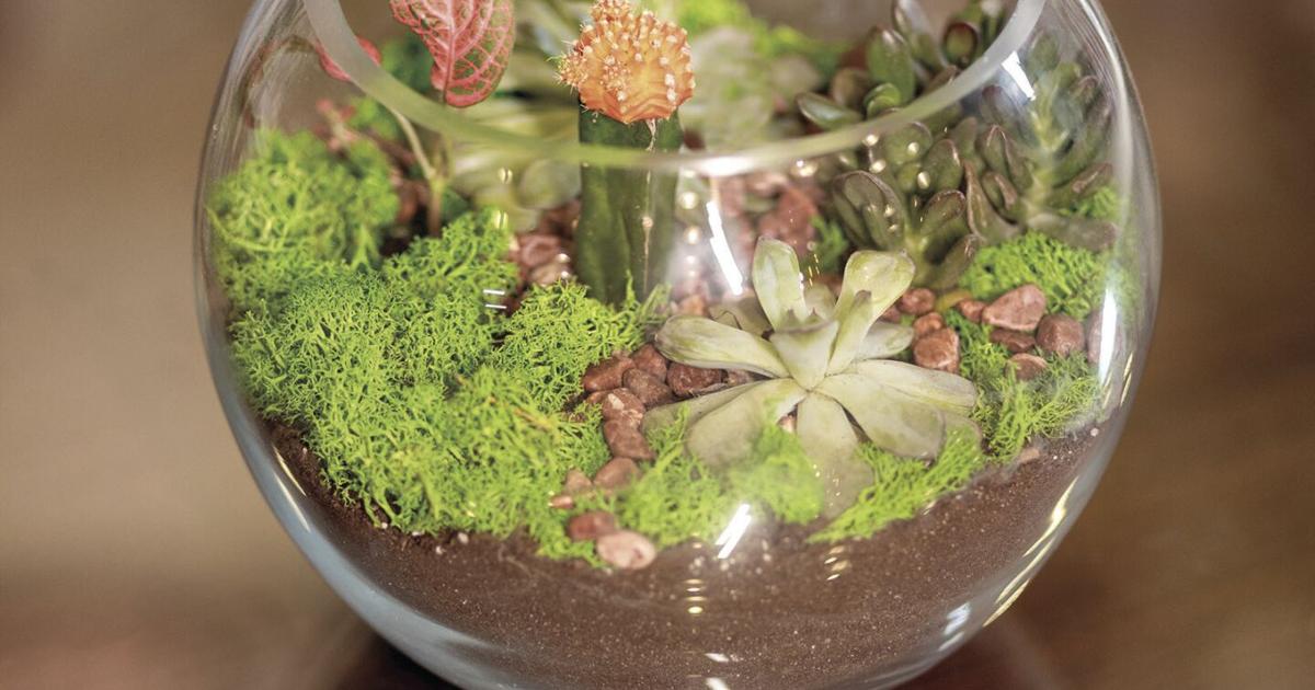 Autumn classes at Ritter Farm Park | Lakeville | hometownsource.com