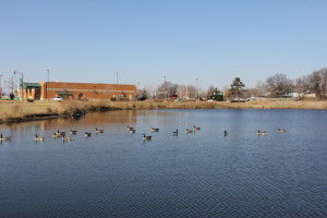 Depot Pond chosen among suggestions for name of Andover pond