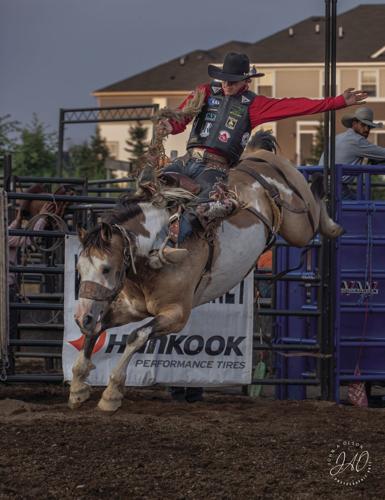 Texas man ties Hamel Rodeo bareback riding record | Free ...