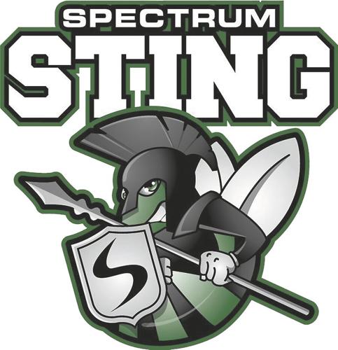 Spectrum Sting Mascot