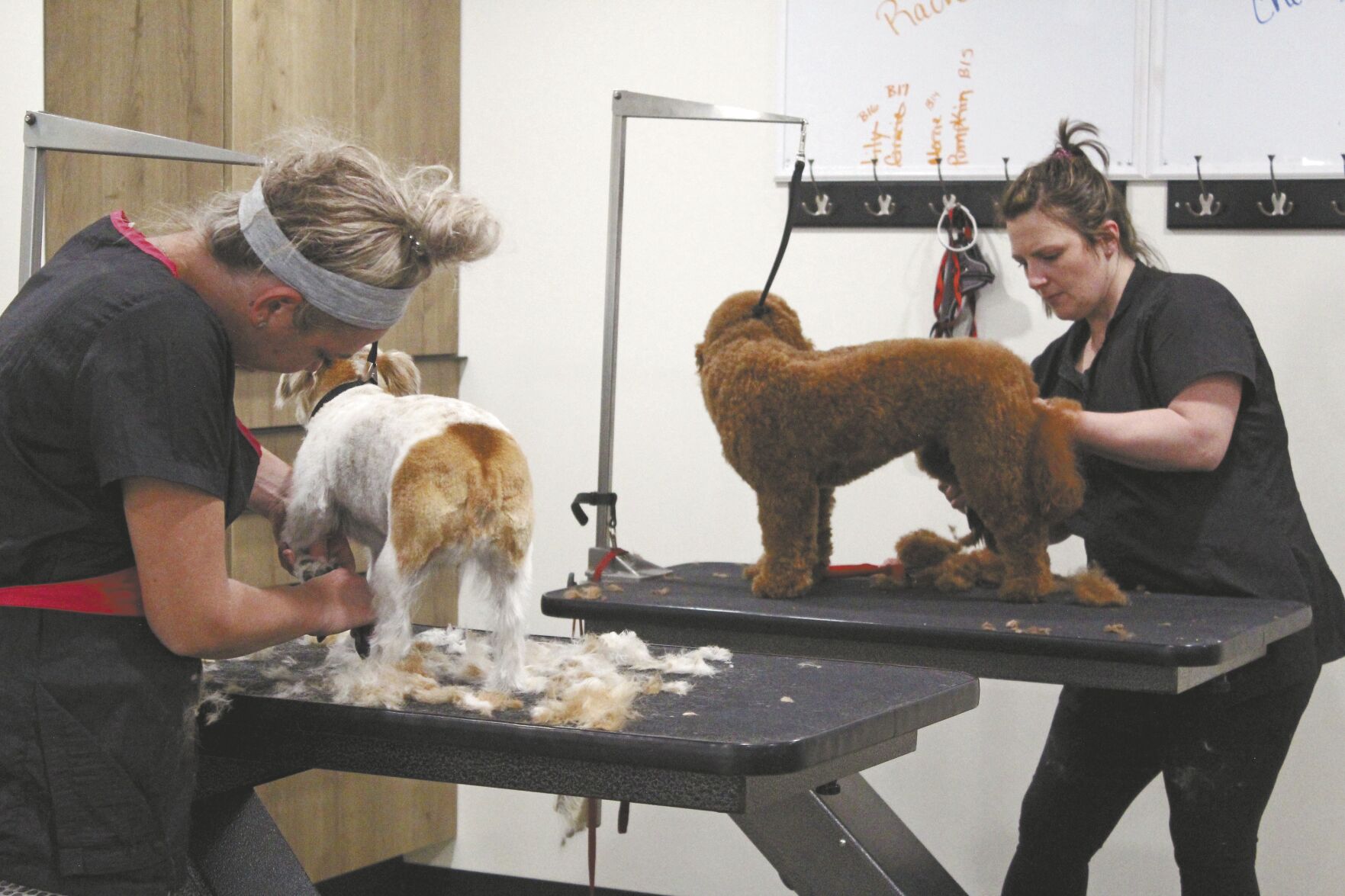 Progress Ma and Paws Pet Grooming opens new shop in historic