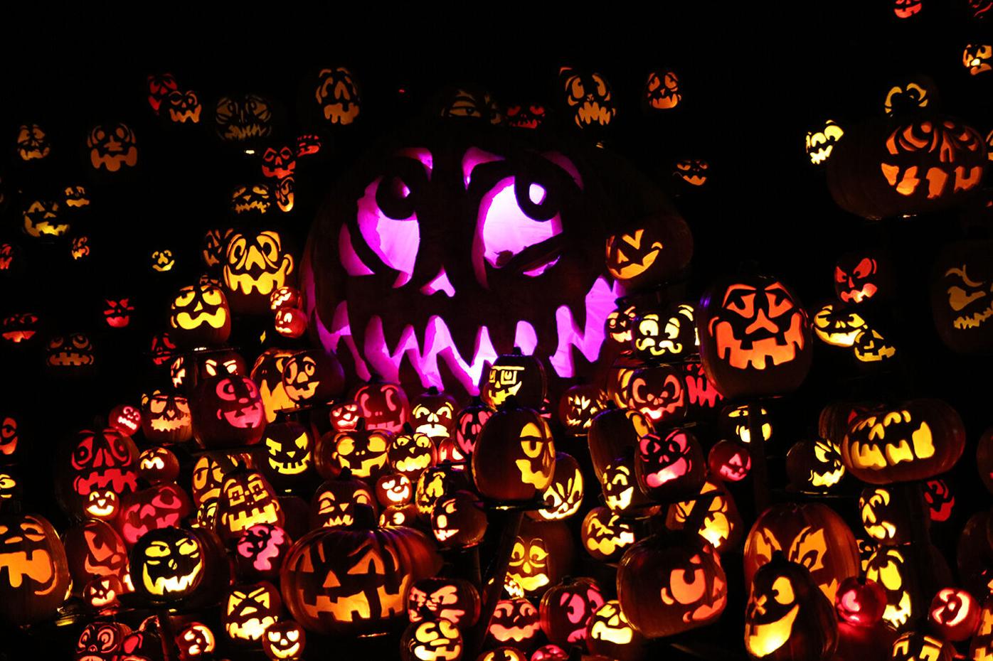 Jack-O-Lantern Spectacular returning to Minnesota Zoo | Free |  hometownsource.com