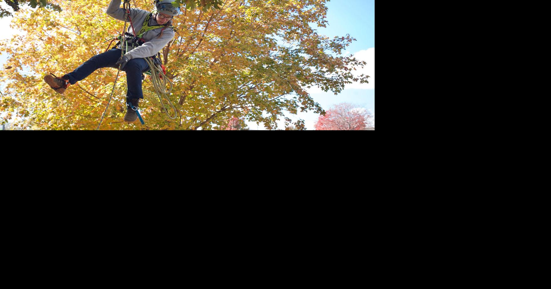 Plymouth arborist to compete in international tree climbing ...