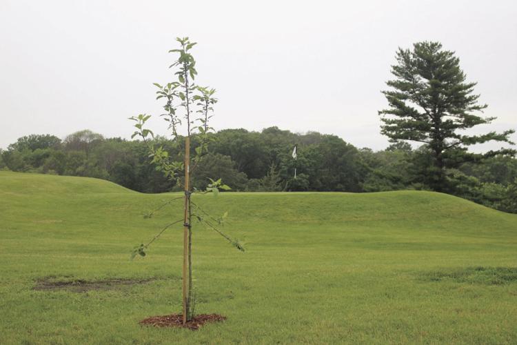 Orono golf course celebrates a century of tee times Community
