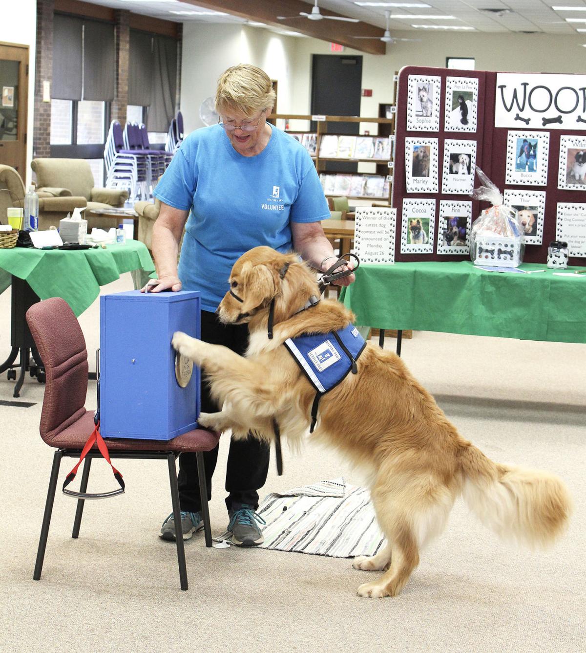 Mainstreams Service Dogs Offer Helping Paws Elk River Star News