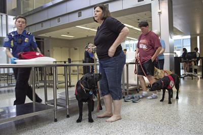 When Pups Fly Service Dogs Learn To Navigate Msp As Part Of Their Training Sun Post Hometownsource Com