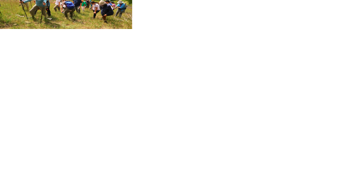 Prairie Enthusiasts enjoy hike on Brownsville Bluff prairie - Vimarsana News