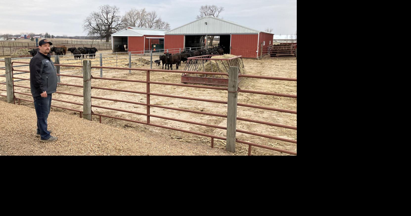 Local beef producers making the grade with choice cuts | Community ...