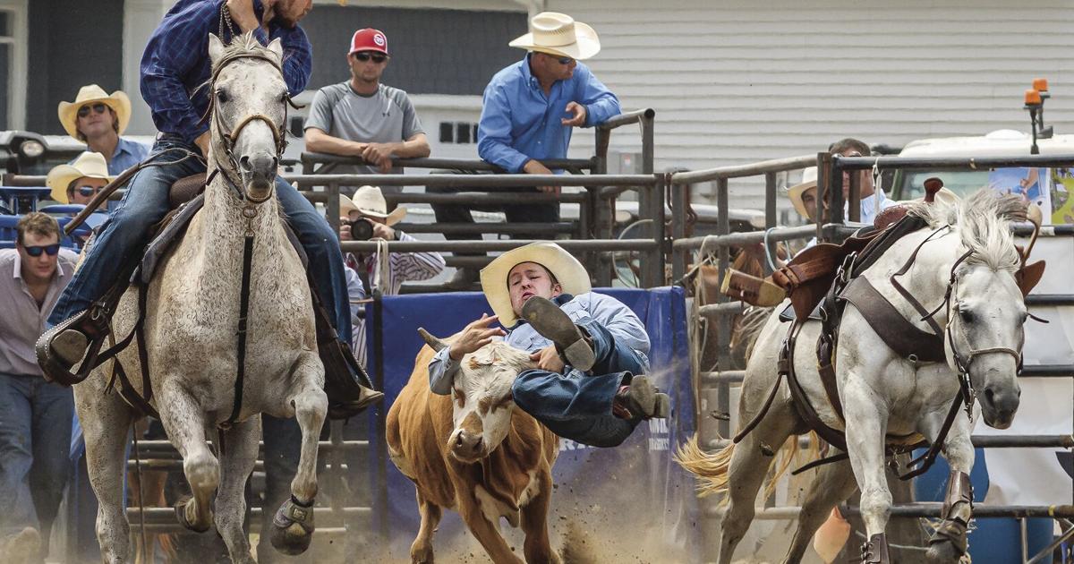 Hamel Rodeo hosts seven rodeo events and more | Press And News ...