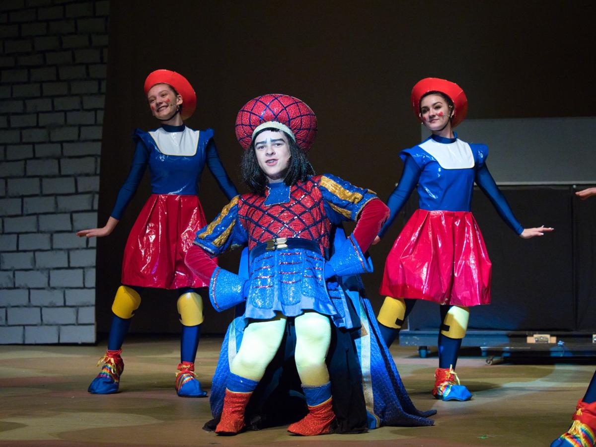 Rosemount High School To Present Shrek The Musical Rosemount