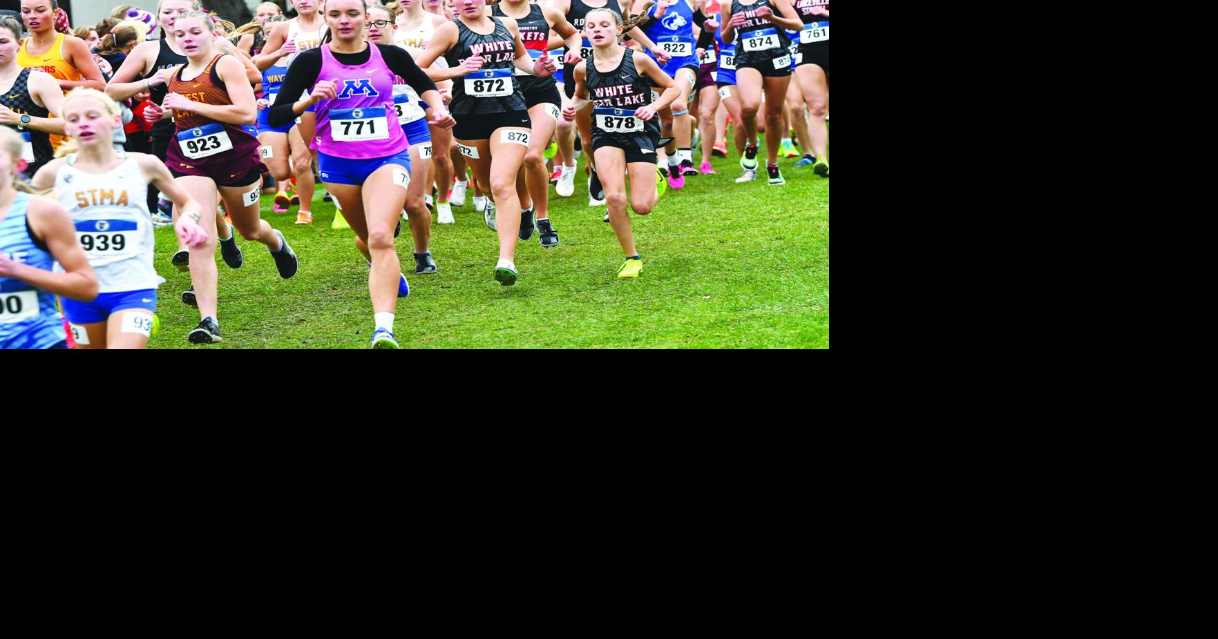 Lake runners leave footprint at state CC meet | Sports | hometownsource.com