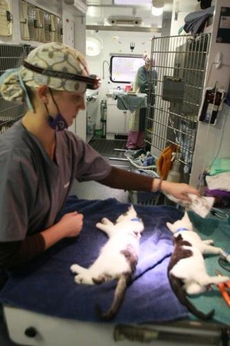 Mobile vet fixes pets for low income owners