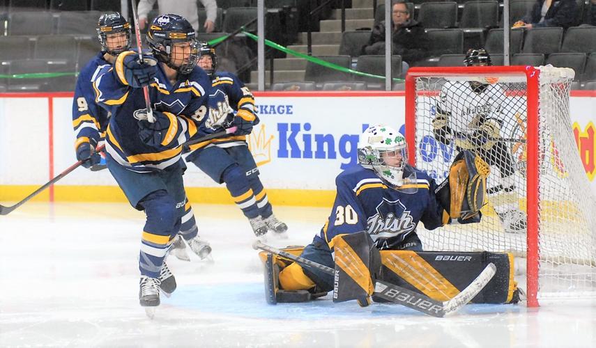 Andover, Edina dominate in Class AA girls hockey quarterfinals | Sports ...